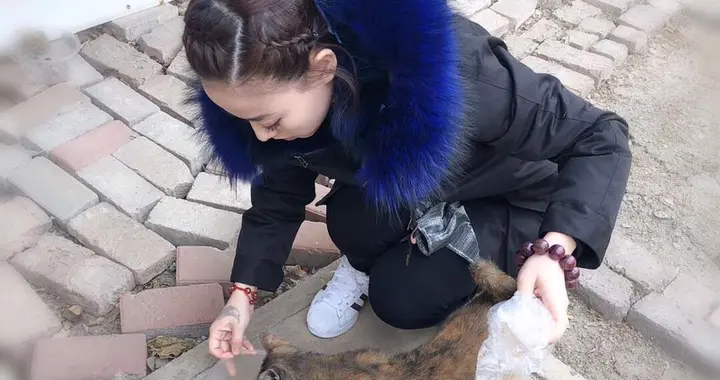 下周十二星座运势(12星座排名大全)