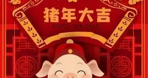 每个猪年都是金猪年吗?是怎么分是不是金猪的?