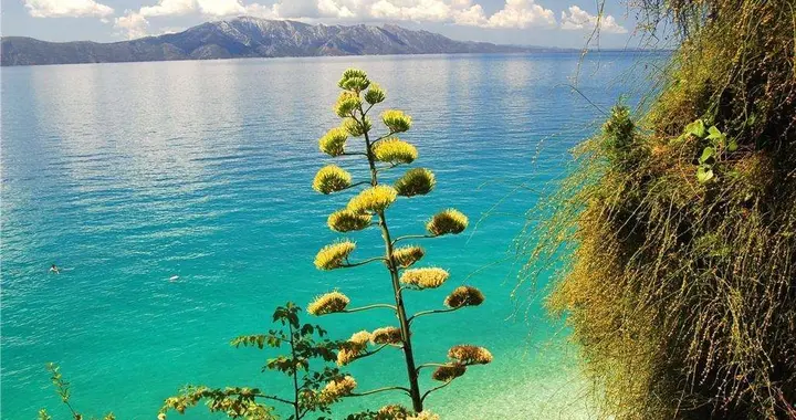 去算命的年轻人是种怎样的心理?