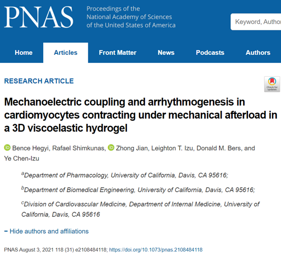 《pnas》加州大学研究揭示了后负荷诱导的机械-化学-电-转导通路