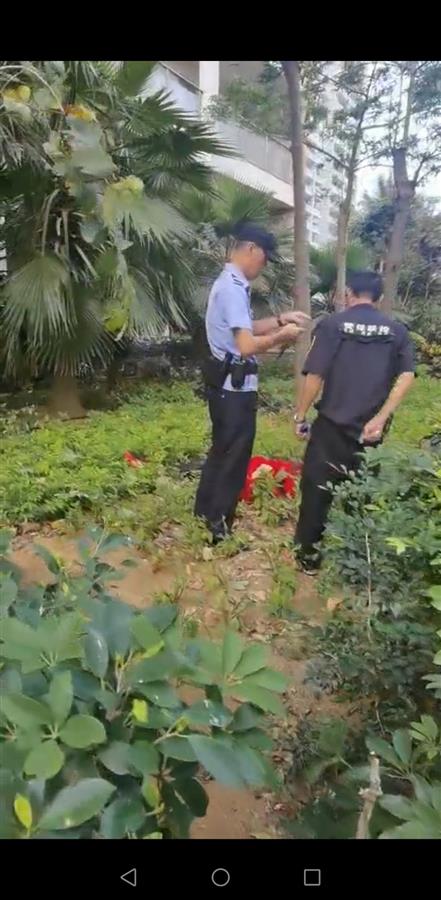 海南三亚,一则女子在高楼阳台外跳舞随后坠楼的视频在网上热传