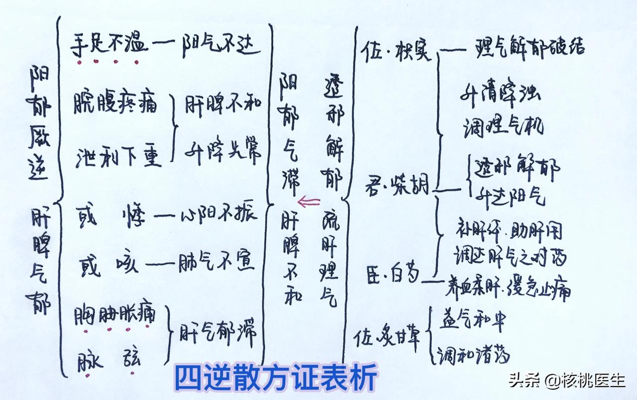 【四逆散方证分析及临床应用】 四逆散在现代除了用于阳郁厥逆证之外