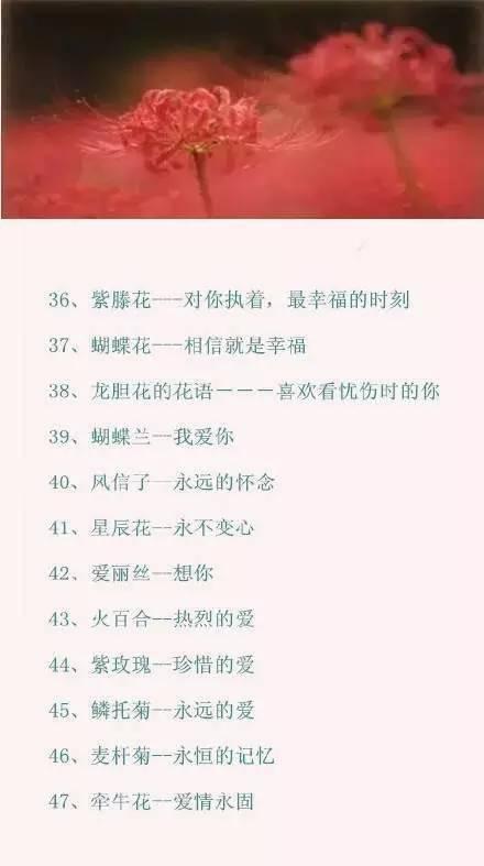 情人节送男友什么情人节攻略｜100种鲜花的花语，你肯定需要