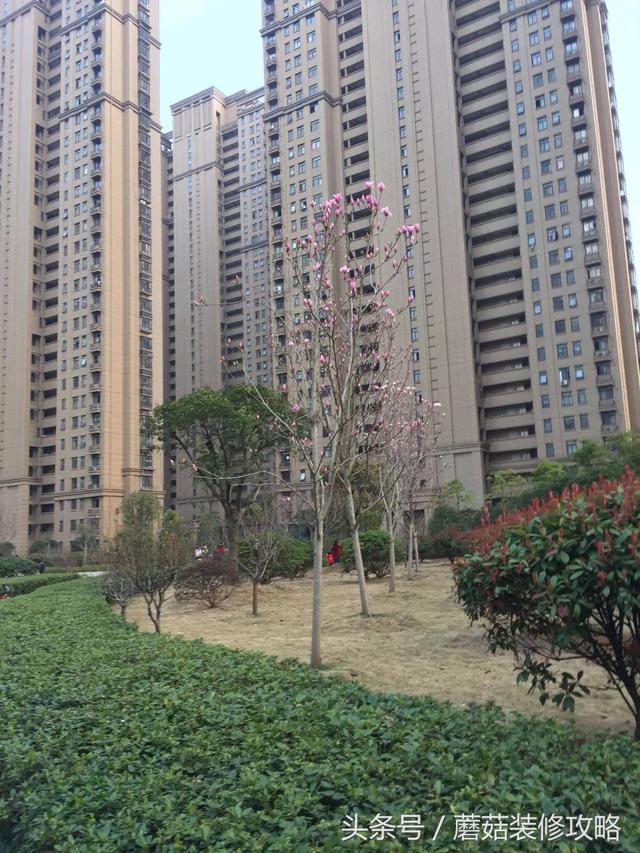 送女朋友什么礼物好_14