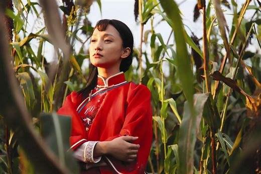 甄嬛传里郑晓龙出演啥人物，甄嬛传芈月传之后