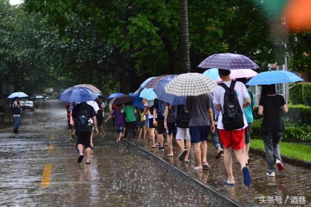 梦见暴风雨(梦见暴风雨即将来临)插图1