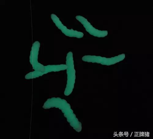 女朋友生日送这些礼物绝对走到分手边缘，你想好了吗？ 送女朋友礼物排行榜