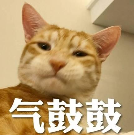 情人节送闺蜜什么礼物这是一份以分手为目的的七夕送礼指南