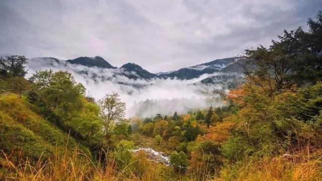 318旅行沿途风景地图，不期而遇的风景向你扑面而来……