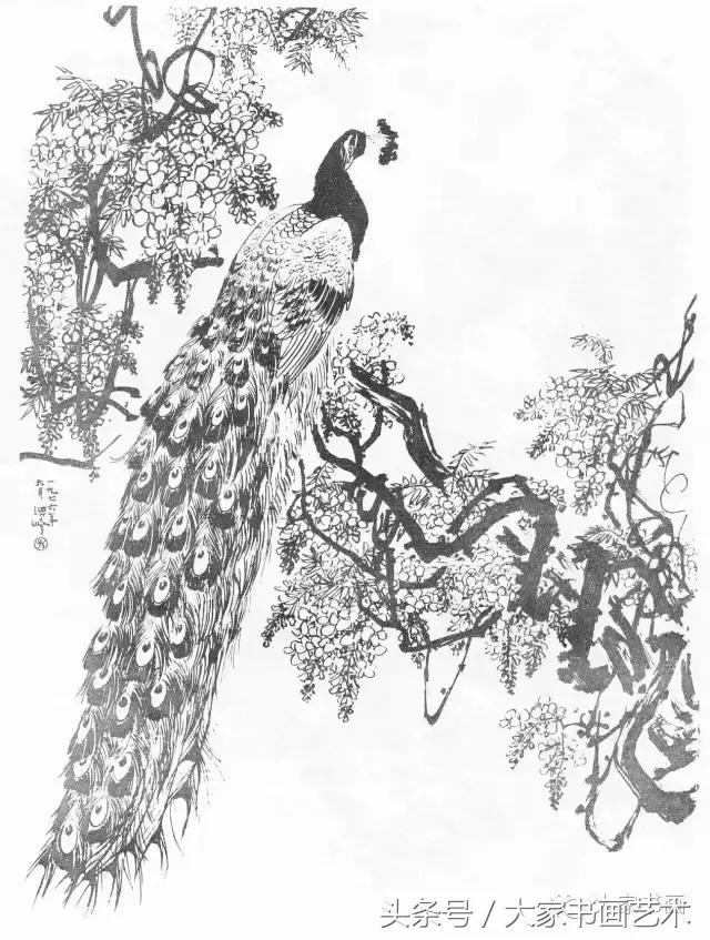 花鸟画作品欣赏，立体横幅小写意花鸟画100幅（精品花鸟画30幅，欣赏）