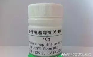 Eth植物激素（你不知道的植物“激素”知识！）