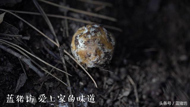 情人节送男友什么七夕情人节，用它给老公做滋补晚餐，他一定会对你疼爱有加