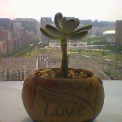 360儿童手表3代，照顾安全更兼顾成长