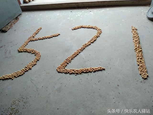 情人节送给女朋友什么礼物农村媳妇收到的情人节礼物，抠门不？