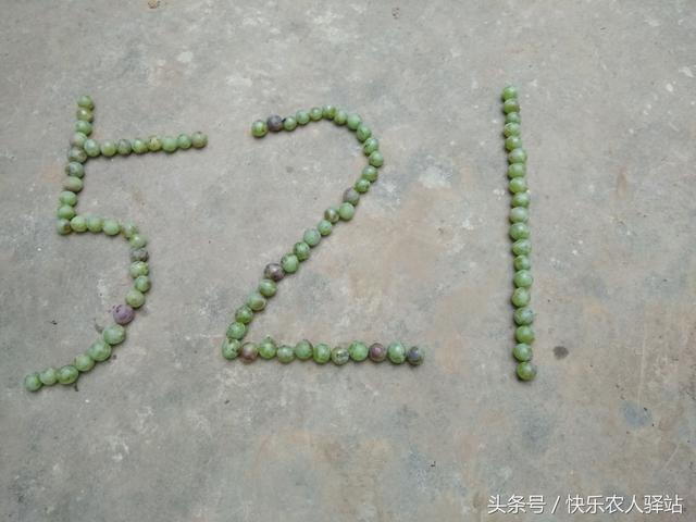 情人节送给女朋友什么礼物农村媳妇收到的情人节礼物，抠门不？