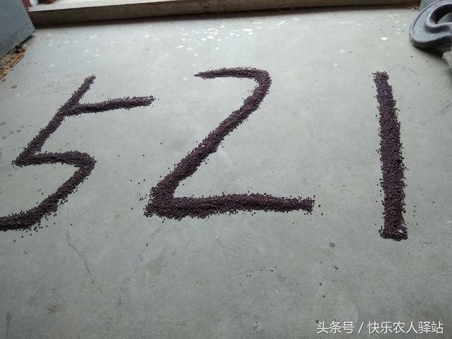 情人节送给女朋友什么礼物农村媳妇收到的情人节礼物，抠门不？