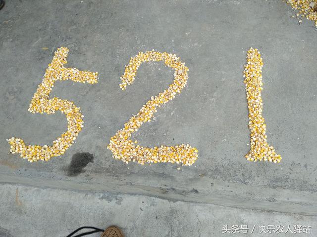情人节送给女朋友什么礼物农村媳妇收到的情人节礼物，抠门不？