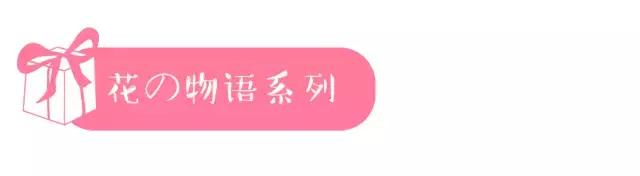 情人节送花送几朵有哪些价格不贵，适合送闺蜜的少女心礼物推荐？