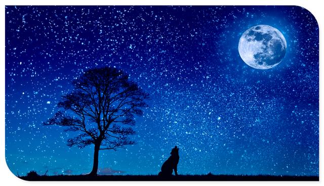 有趣的心理效应巴纳姆效应，心理说巴甫洛夫与狗