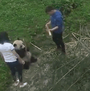 女朋友胸小要怎么安慰？ 女朋友过生日送什么礼物好