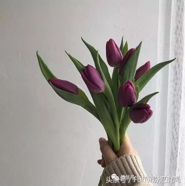 七夕送女朋友什么礼物好最有意义2018情人节送花攻略，比送玫瑰强一万倍~