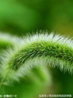 情人节要送什么礼物情人节到了，送你69种花，69种爱~