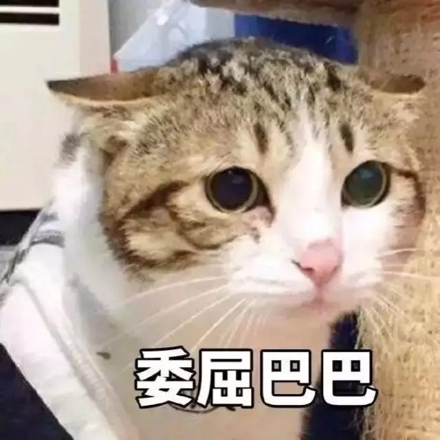 情人节送男友情人节三部曲之不会错的礼物清单：男朋友请背诵！