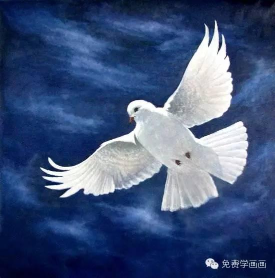 鸽子画画图片大全图片 儿童画盒子