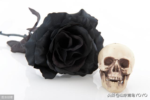 情人节送花玫瑰花语大全 蓝玫瑰花语 玫瑰花支数不同所代表的含意