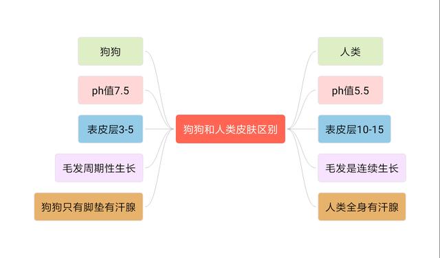 辟謠：狗狗洗澡用人的沐浴露便宜又健康？這是在損害它們皮膚健康 萌趣萌寵 第5张