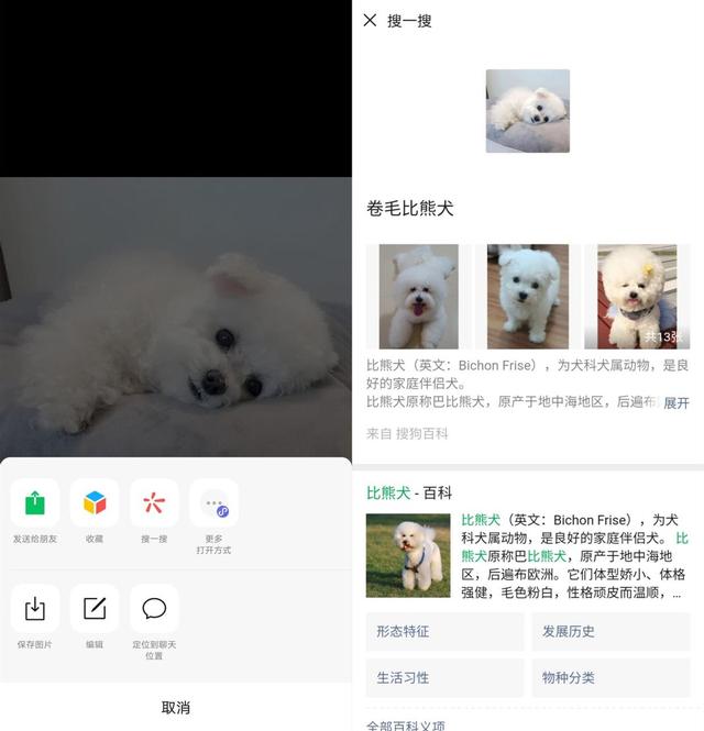 冷门小知识，微信长按2秒，能开启这7个功能，你可能都不知道