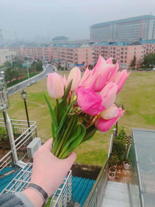 情人节送男友什么好情人节，这样送花就对了，不用出门也不用花钱
