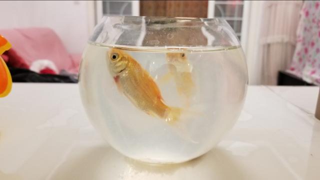 40岁男人内心想收到的礼物,给老公买什么生日礼物最有意义