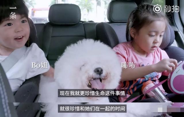 賈靜雯：19歲親手拔掉父親呼吸機，賠前夫2600萬，如今過得怎樣？ 娛樂八卦吃瓜 第16张