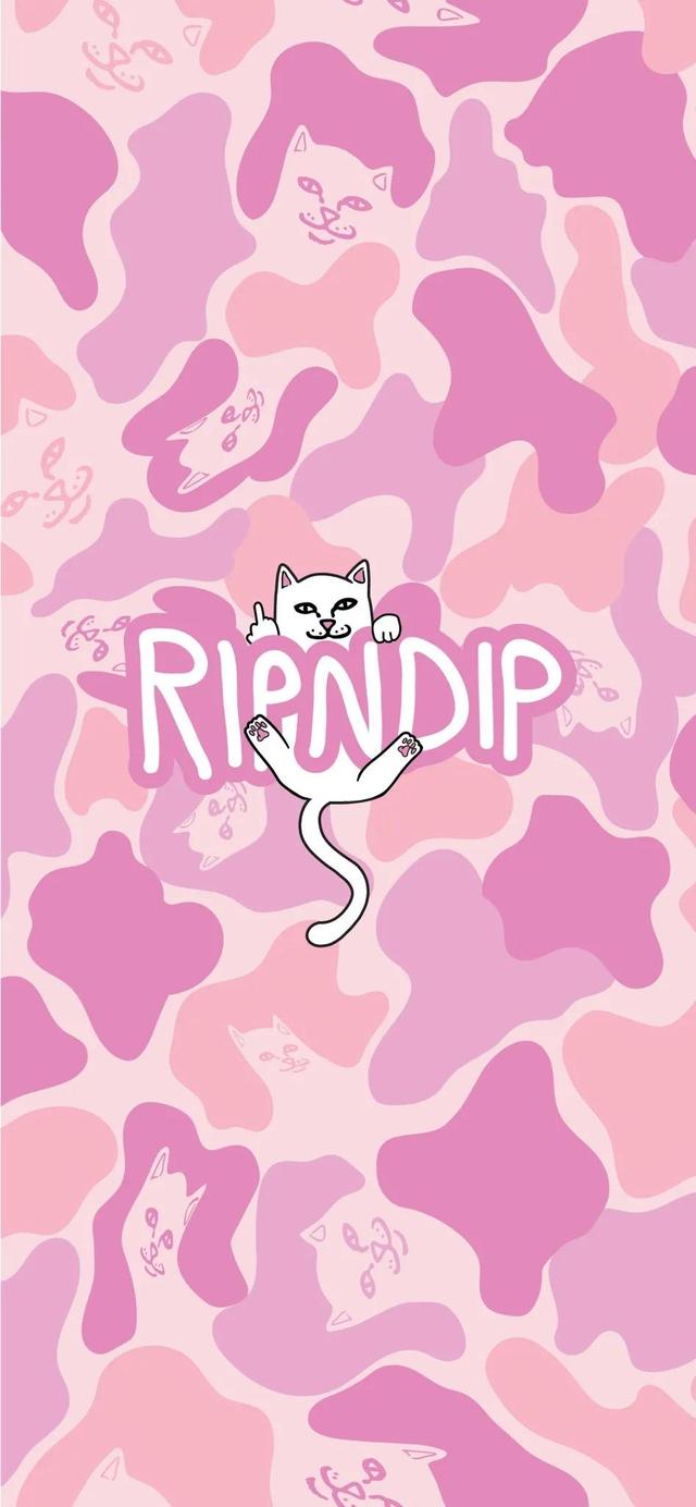 Ultra Hd Cheap Cat Ripndip Trend Mobile Wallpaper Daydaynews