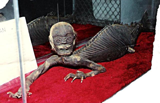 八种史前怪物，比巨齿鲨还要更加可怕的10个史前生物