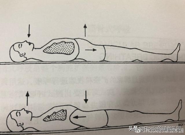 張若昀細腰上熱搜，天冷不想動如何瘦？這樣呼吸輕松瘦出小蠻腰 健身減肥達人 第10张