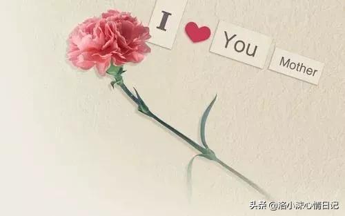 学生母亲节送什么礼物 母亲节送礼物作文500字
