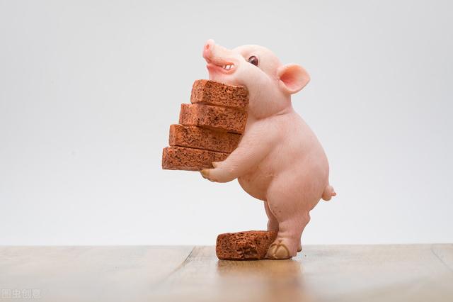 我，为做代购兑掉影楼，最高时月赚5万，但现在真的快干不下去了