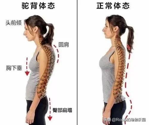 李沁挑戰空中瑜伽似仙子，每天10分鍾這樣做，高效瘦出同款身材 健身減肥達人 第16张