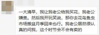 七夕送什么情人节你们送的，统统都是月季