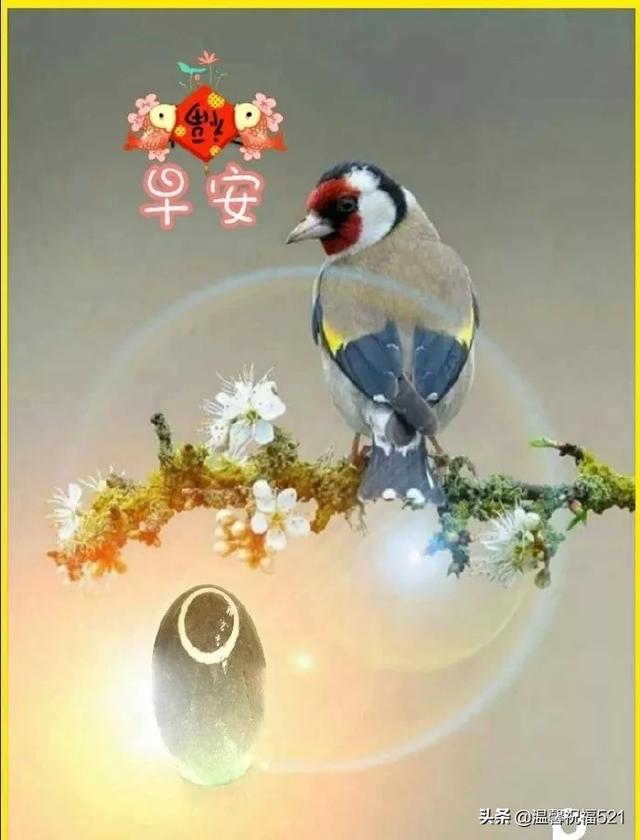 幸福的早晨,从问好逐渐!