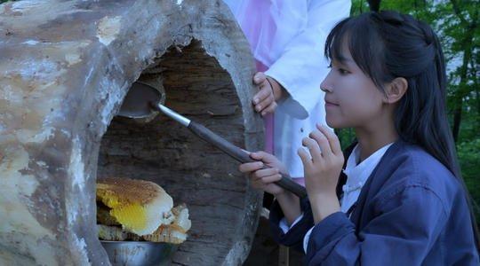 網紅李子柒：父母離異被收養，坎坷前行遇風口，與世無爭只是童話 娛樂八卦吃瓜 第1张