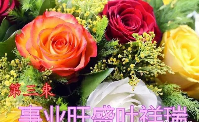 情人节送玫瑰花的含义5.20情人节到了！最美的祝福送给天下有情人！打开看看