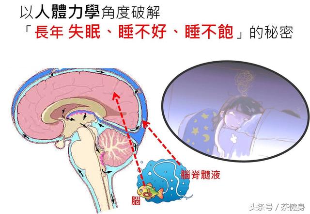 以人體力學角度破解長年失眠睡不好的秘密，你該放鬆肩頸肌肉了 健身減肥達人 第2张