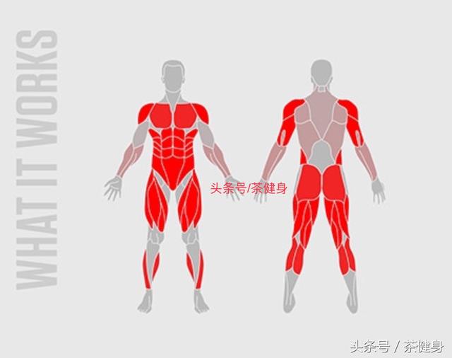 全民健身大作戰，全身高強度體能訓練，9個動作提高核心與爆發力 健身減肥達人 第13张