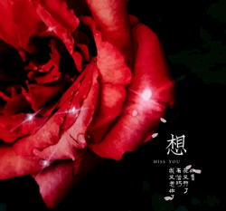 情人节送玫瑰花图片七夕节送你16张心意“表白卡”｜16朵暗藏心意的花语，你