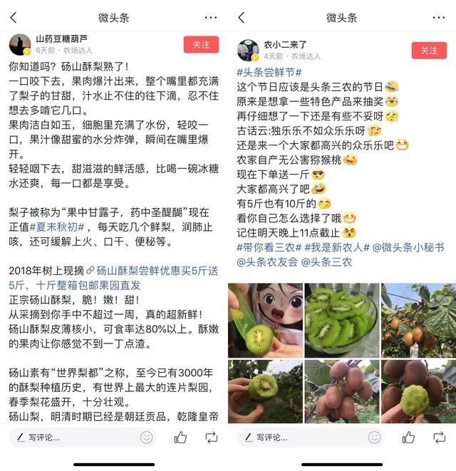 今日头条三农创作者发起尝鲜节，5天卖出40万斤山货