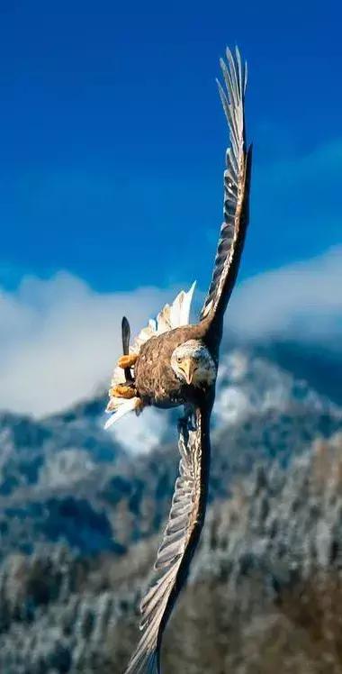 此景只应天上有，此景只应天上有不知何时落凡间