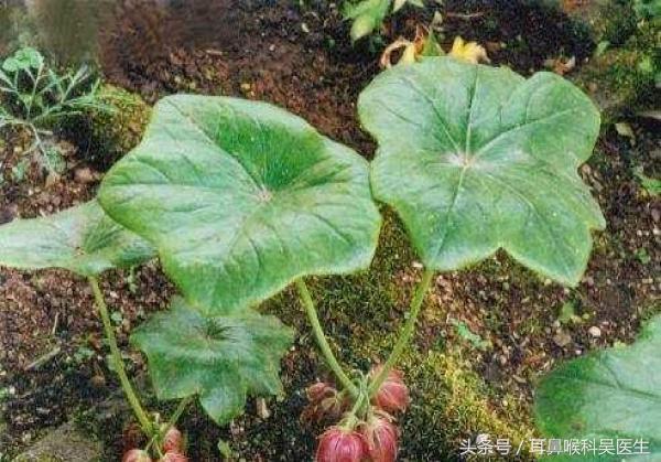 一桌菜一斤盐的故事，每日一讲之江边一碗水